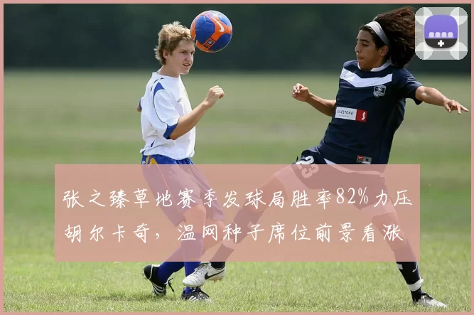 张之臻草地赛季发球局胜率82%力压胡尔卡奇,温网种子席位前景看涨