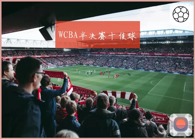 WCBA半决赛十佳球