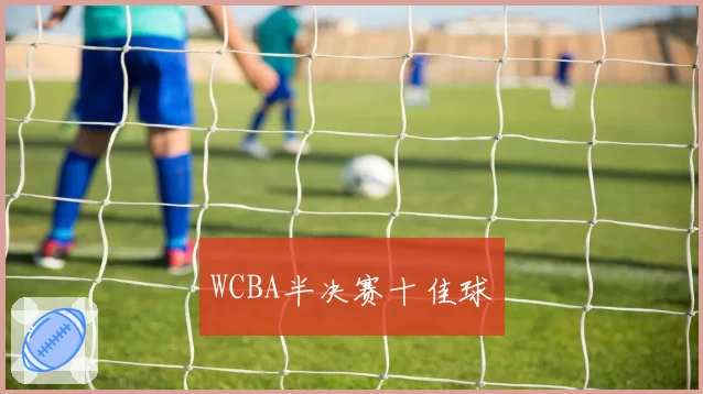 WCBA半决赛十佳球