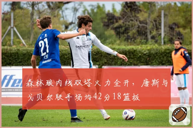 森林狼内线双塔火力全开，唐斯与戈贝尔联手场均42分18篮板